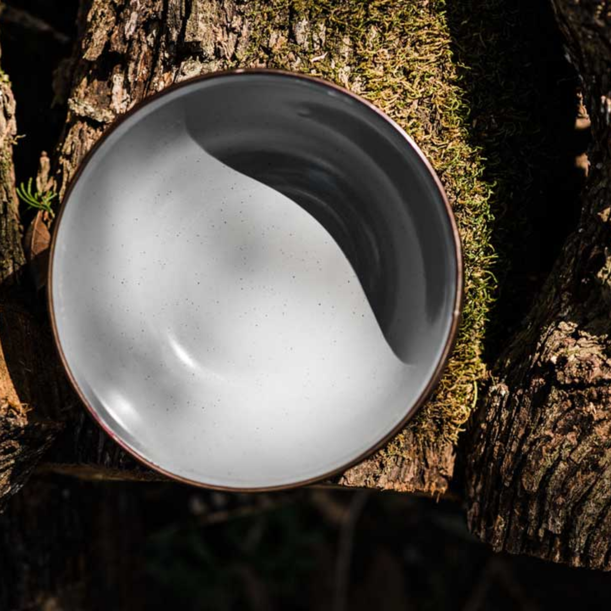 Barebones enamel bowl slate grey outdoors on mossy tree trunk