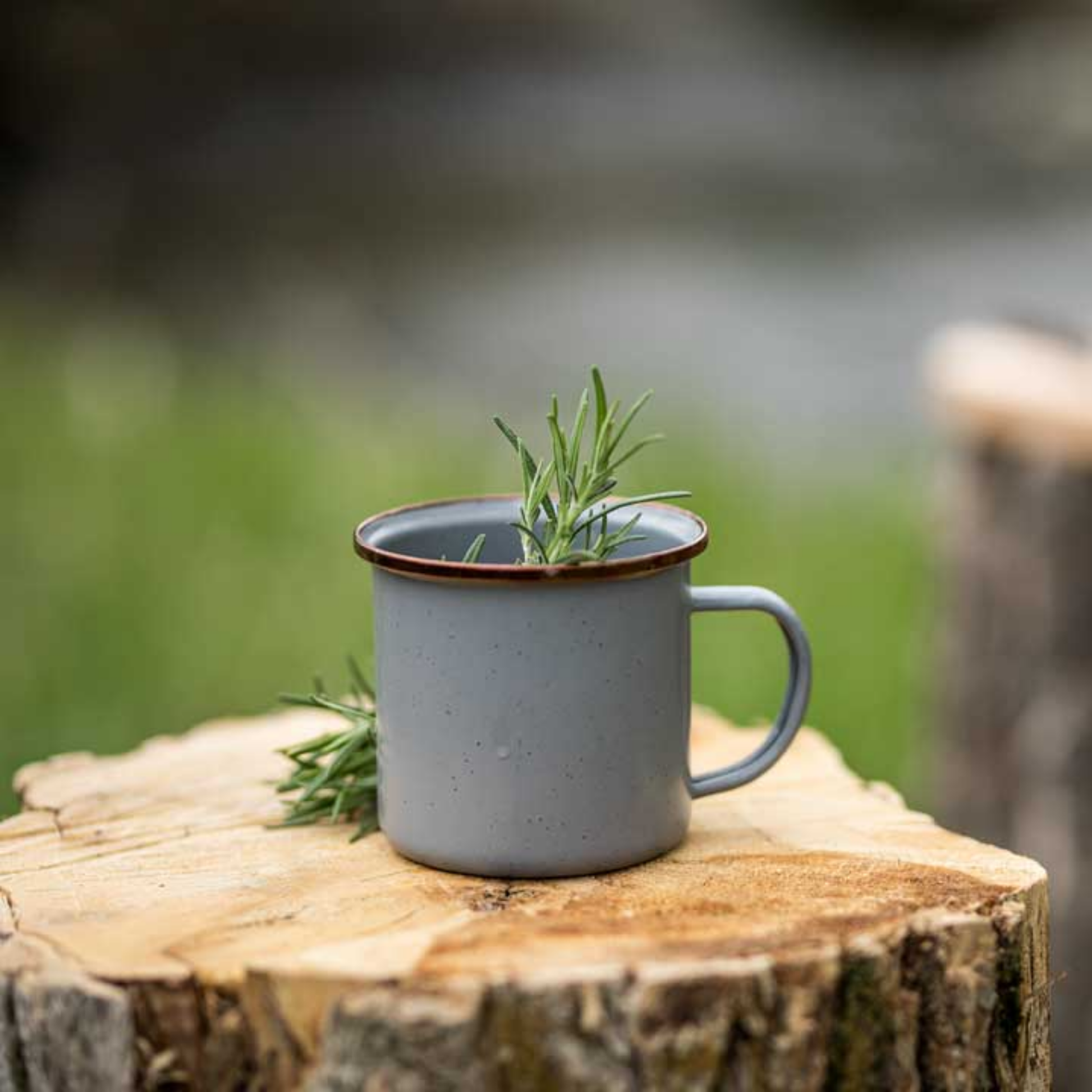 Barebones outdoors on tree log with rosemary inside cup