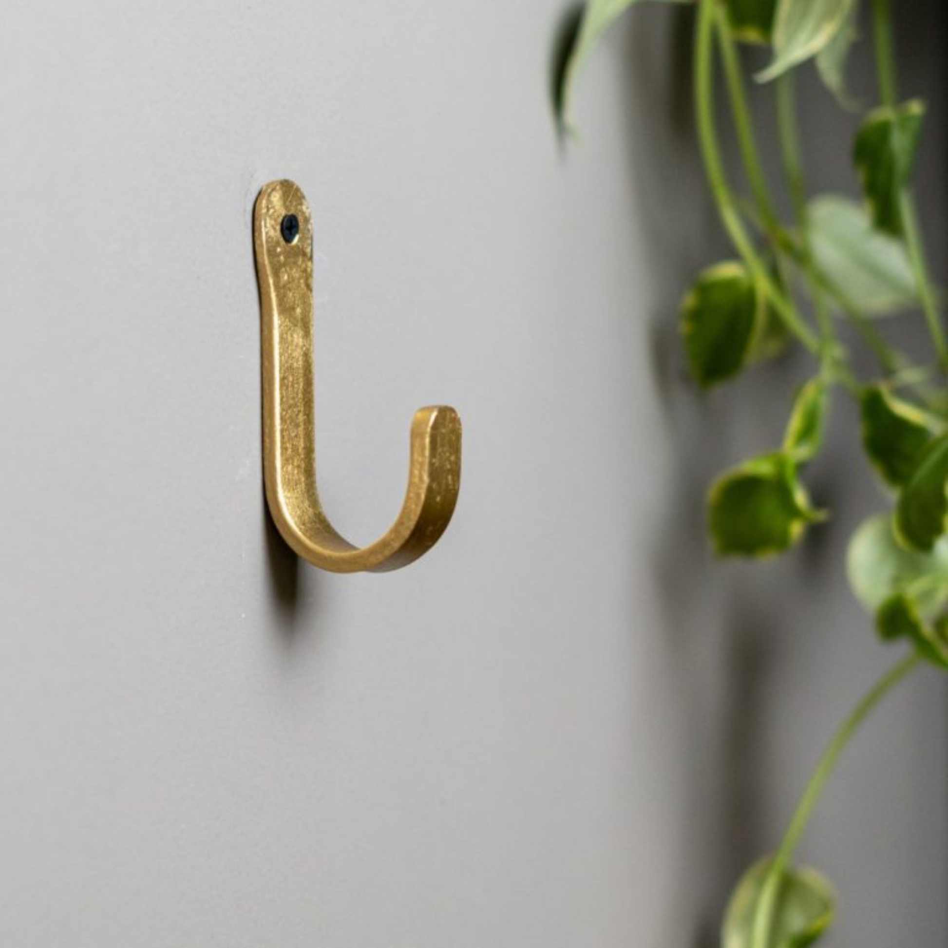 Shown hung on the wall Brut Homeware single coat hook in brass gold finish, hand-forged wrought iron with industrial strength and elegant design-available in large and small sizes, ideal for hanging coats, hats, towels, or bags in any room.