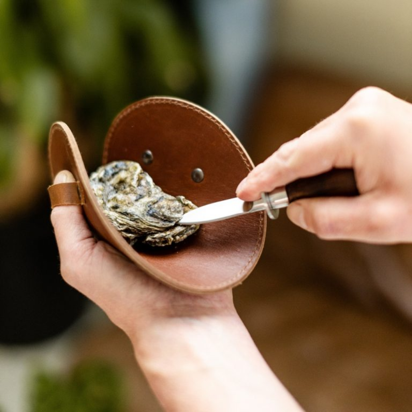 Shown pulling out the oyster using Brut Homeware classic oyster knife set featuring a stainless steel knife with acacia wood handle and a thick buffalo leather safety glove, presented in a black box-an elegant and durable toolset for seafood enthusiasts.