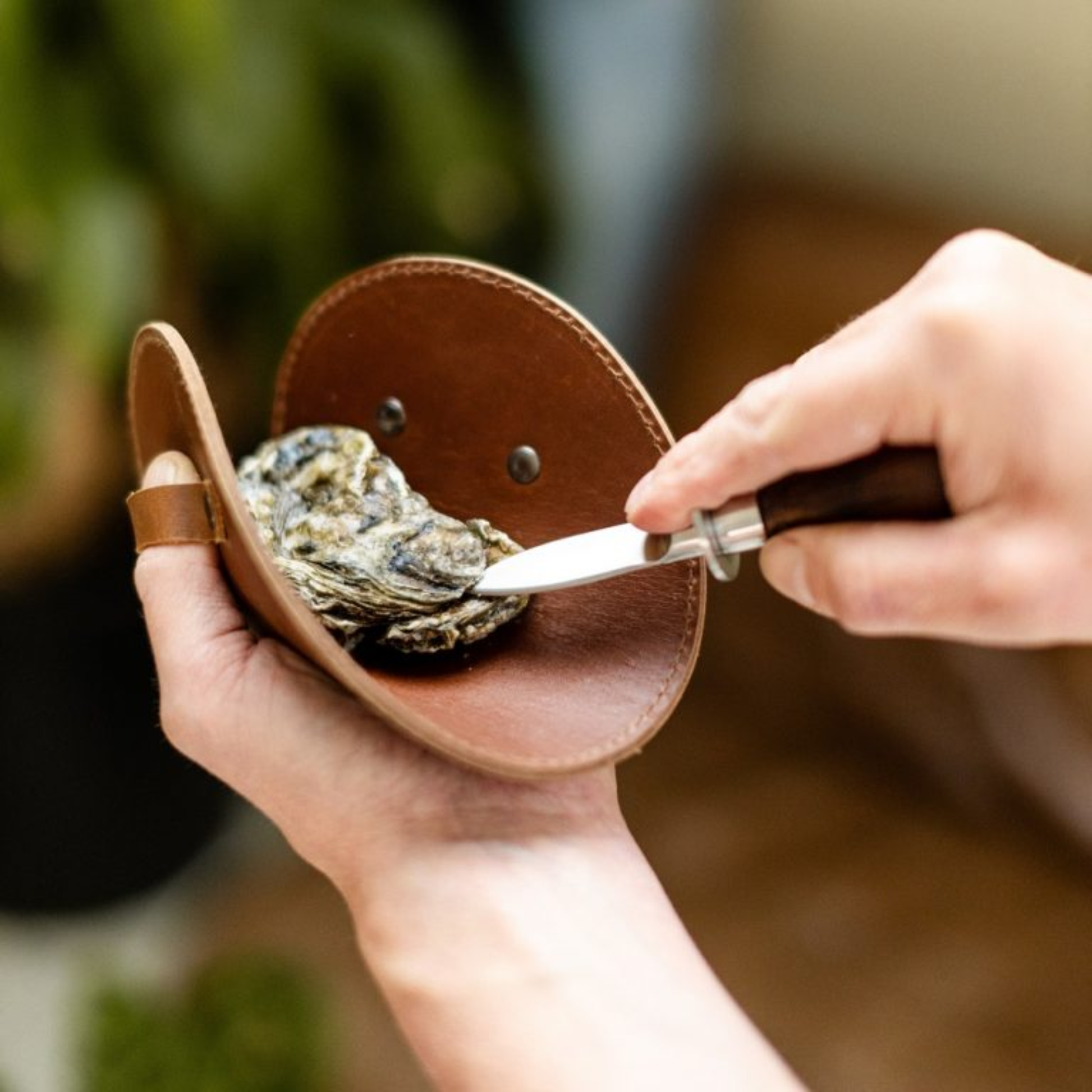 Shown pulling out the oyster using Brut Homeware classic oyster knife set featuring a stainless steel knife with acacia wood handle and a thick buffalo leather safety glove, presented in a black box-an elegant and durable toolset for seafood enthusiasts.