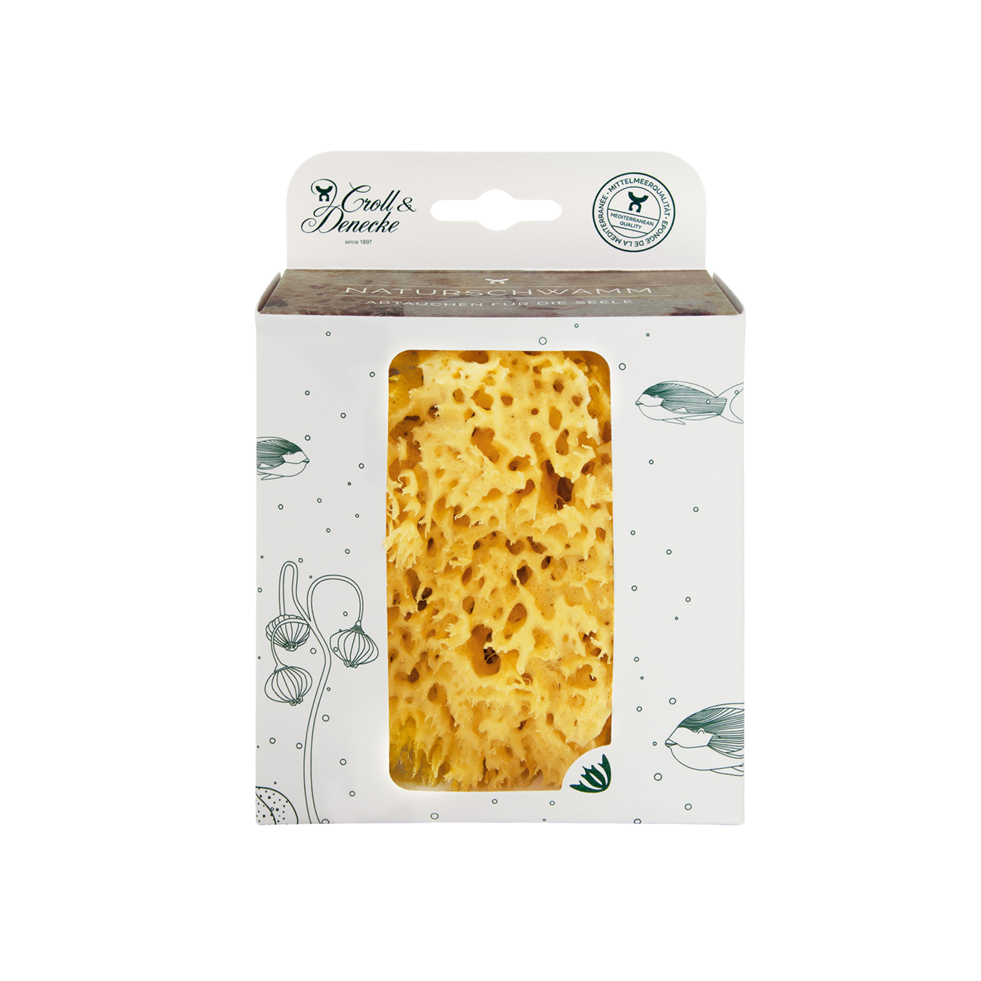 Croll and Denecke sponge in packaging box