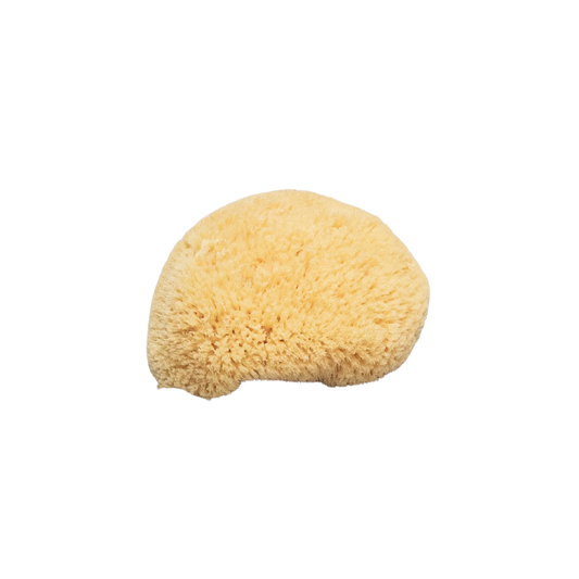 Croll and Denecke sponge unpackaged