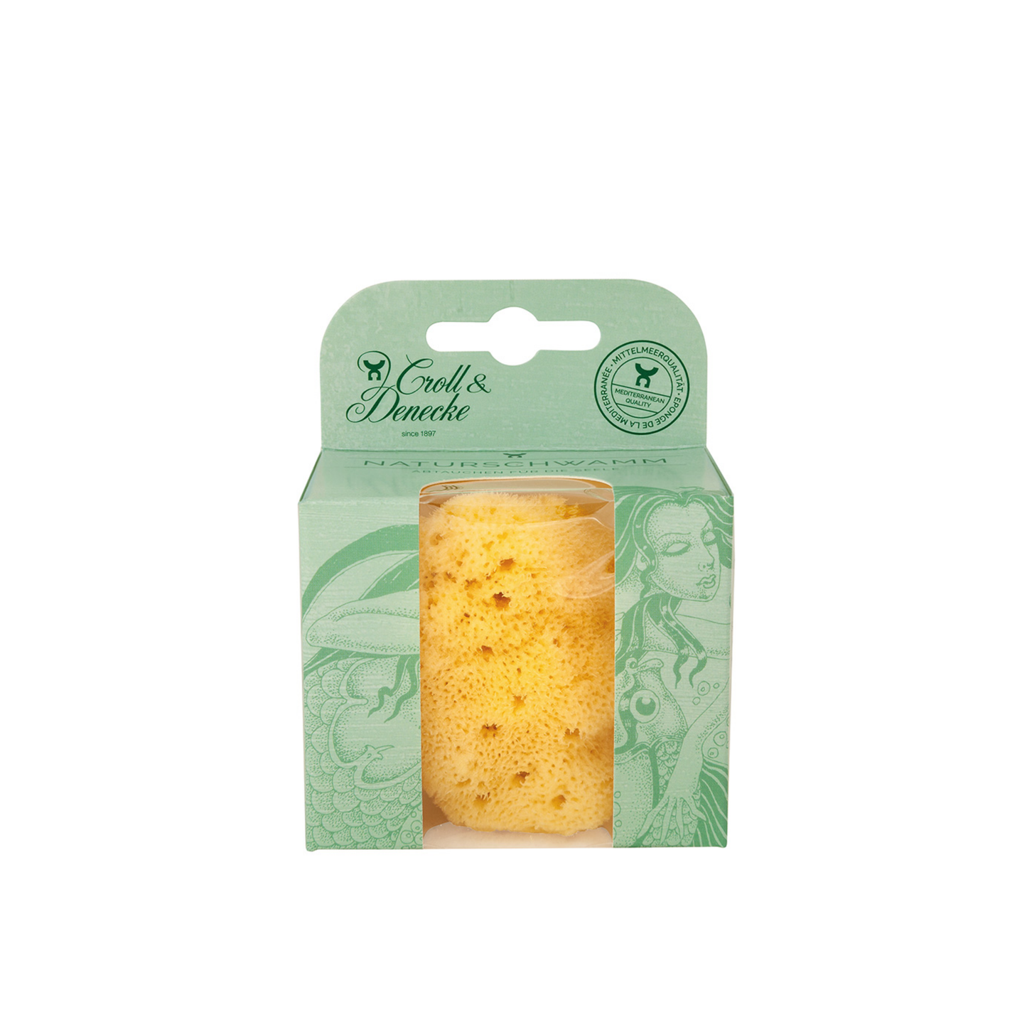 Croll and Denecke sponge in packaging box