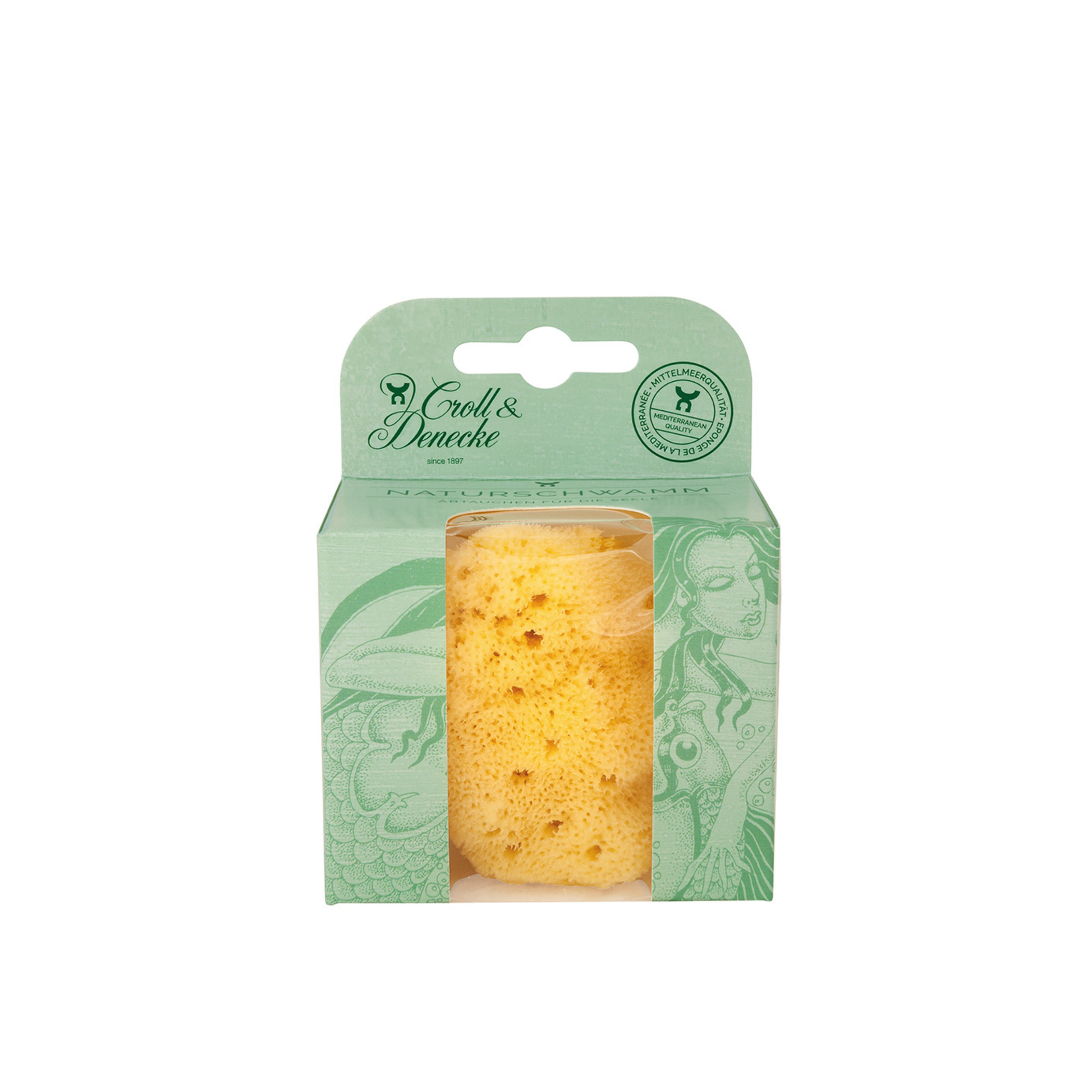 Croll and Denecke sponge in packaging box