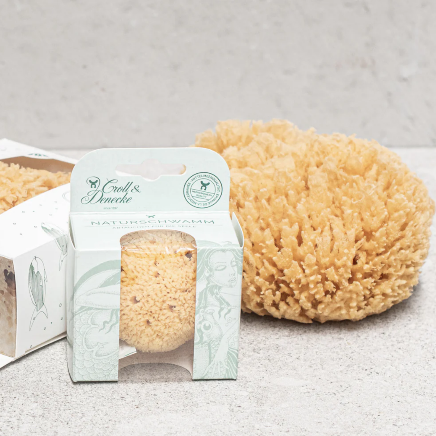 Croll and Denecke sponge on concrete table with other sponges in packaging boxes