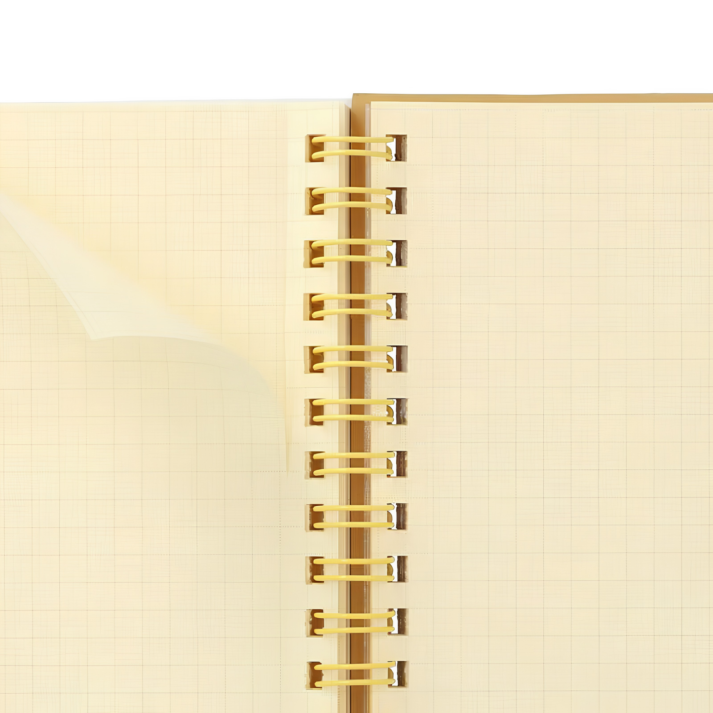 Close up on the paper from Fathom spiral bound retro notebook in baby pink with polypropylene cover, metal spiral binding, elastic closure, and 140 perforated cream pages, large Japanese-made stationery.