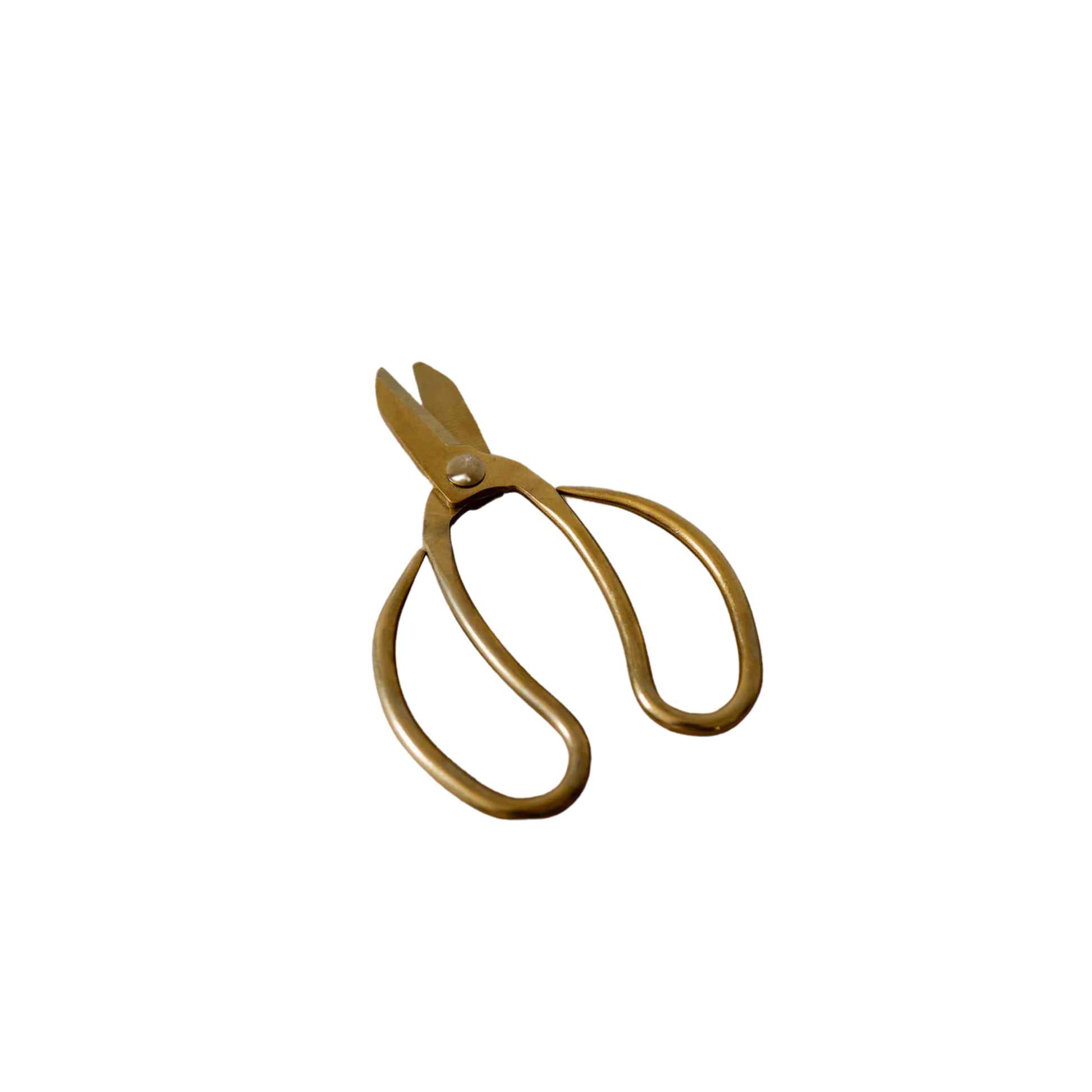 Garden scissors angled top view