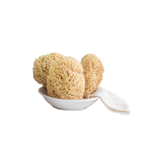 Fathom Large Sea Sponge - 100% natural, sustainably harvested Mediterranean sponge, eco-friendly and hand-collected twice a year, ideal for bathing, cleaning, or personal care, sold individually.