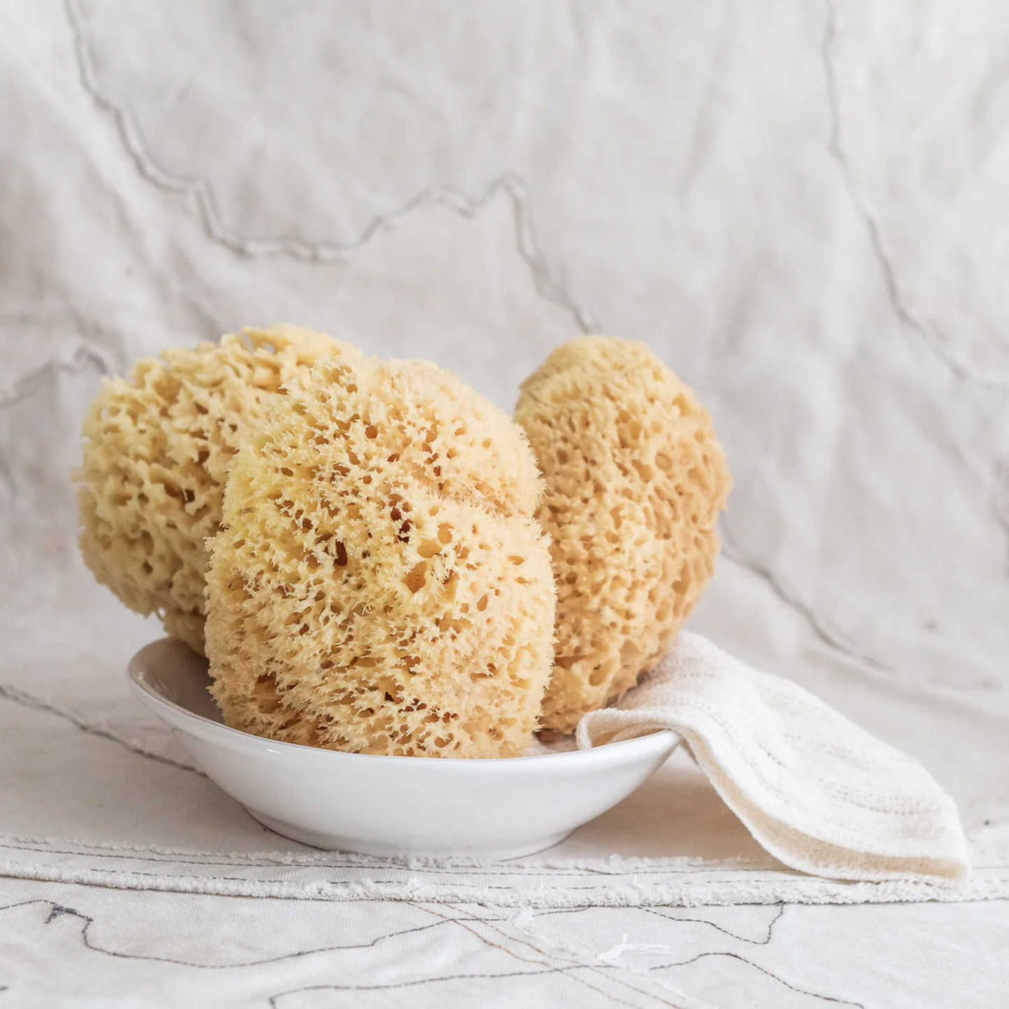 Fathom Large Sea Sponge, 100% natural, sustainably harvested Mediterranean sponge, eco-friendly, sold individually.