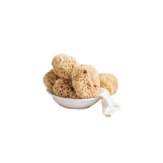 Fathom Medium Sea Sponge - 100% natural, sustainably harvested Mediterranean sponge, eco-friendly and hand-collected twice a year, ideal for bathing, cleaning, or personal care, sold individually.