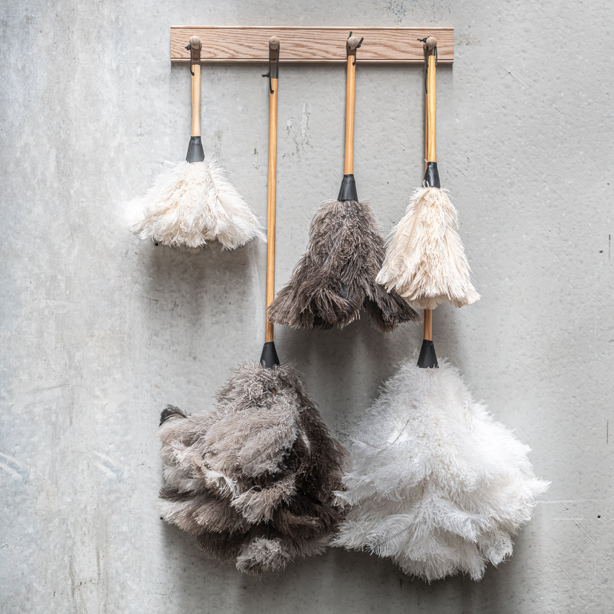 Sizes of cream and natural Fathom Ostrich Feather Duster hanging, soft natural feather duster for careful and gentle dusting.