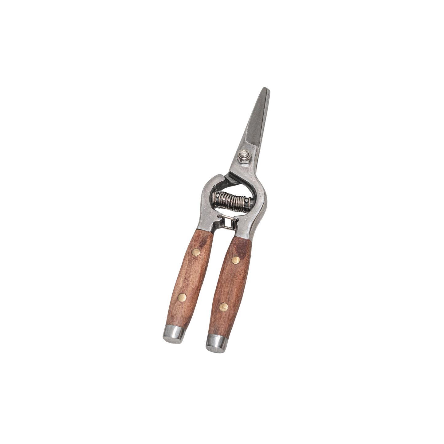 Close Fathom Secateurs feature drop-forged stainless steel blades with wooden ash handles, measure approximately 20cm in length.