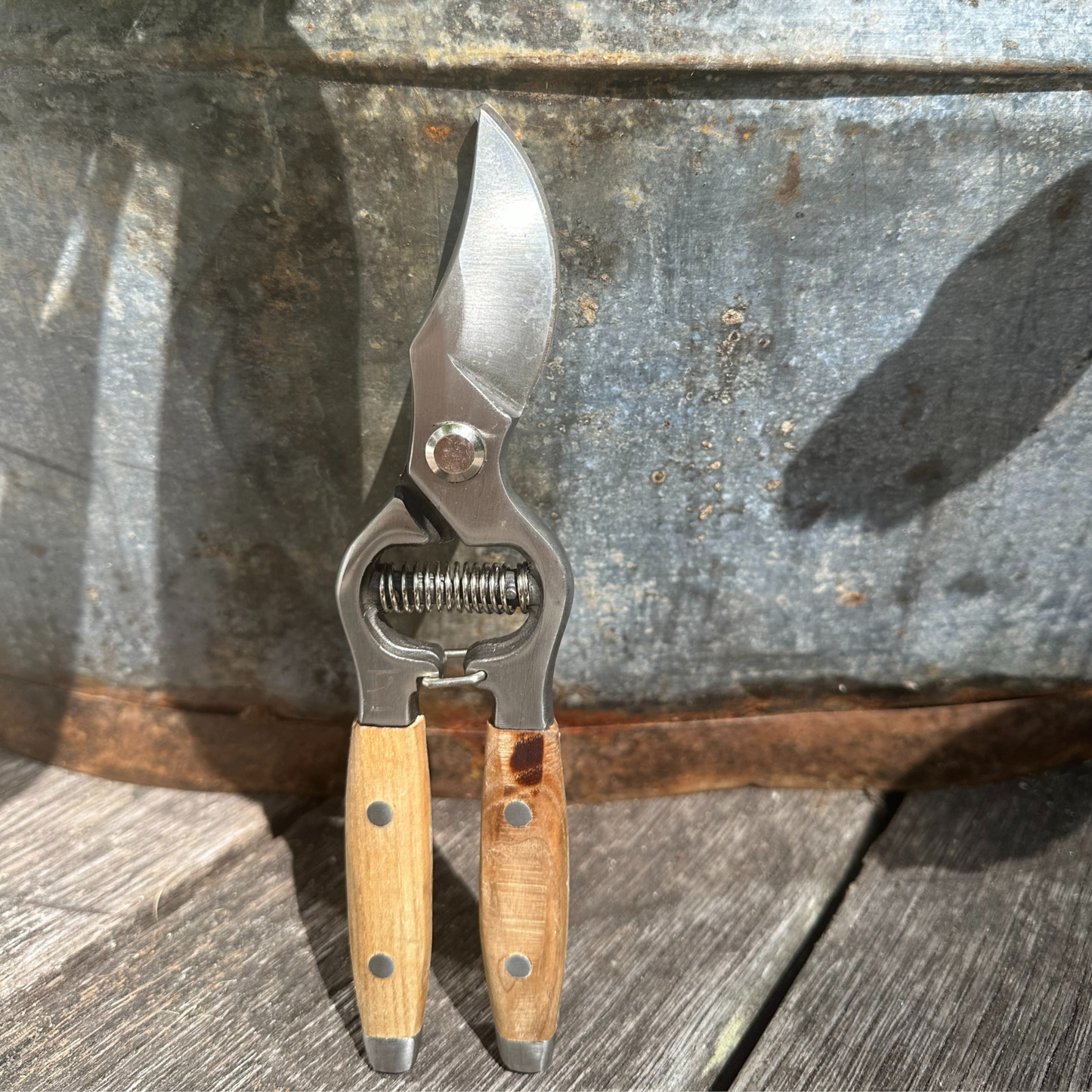 Close Fathom Secateurs standing on a wooden surface, feature drop-forged stainless steel blades with wooden ash handles, measure approximately 20cm in length.