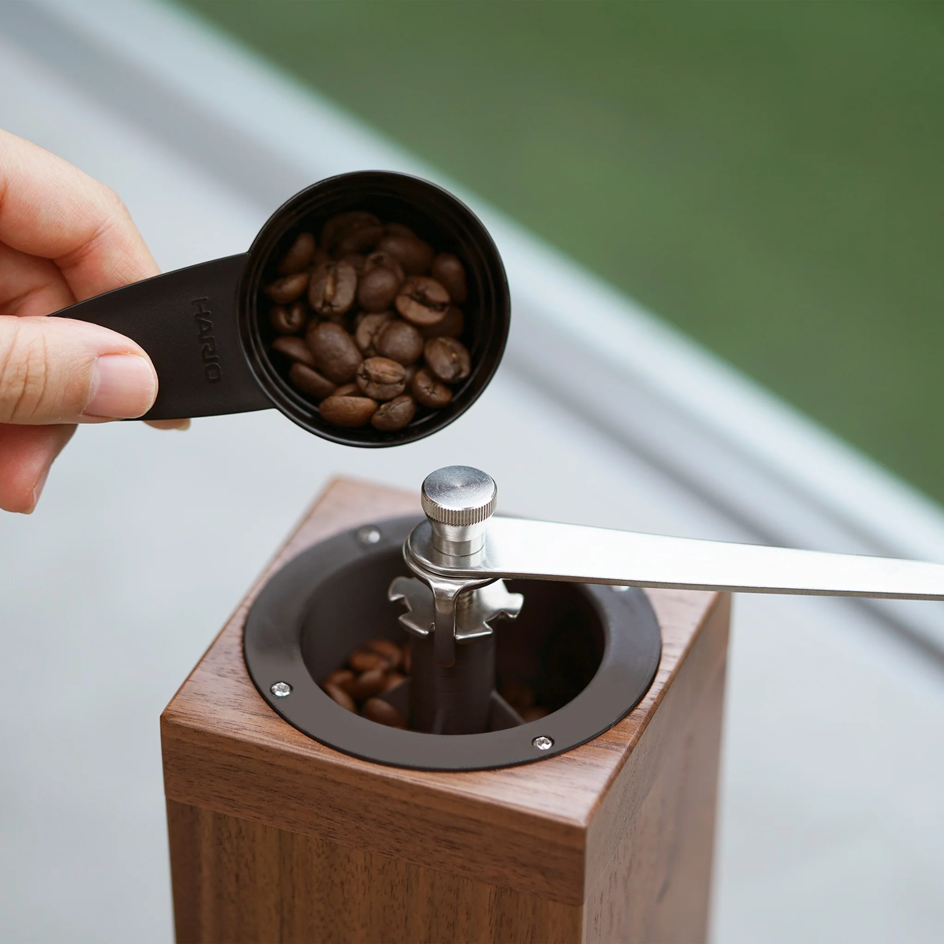 Coffee beans being put inside the Hario Coffee Mill Cube. 3-4 cups wooden coffee grinder with ceramic burr and stainless steel handle.