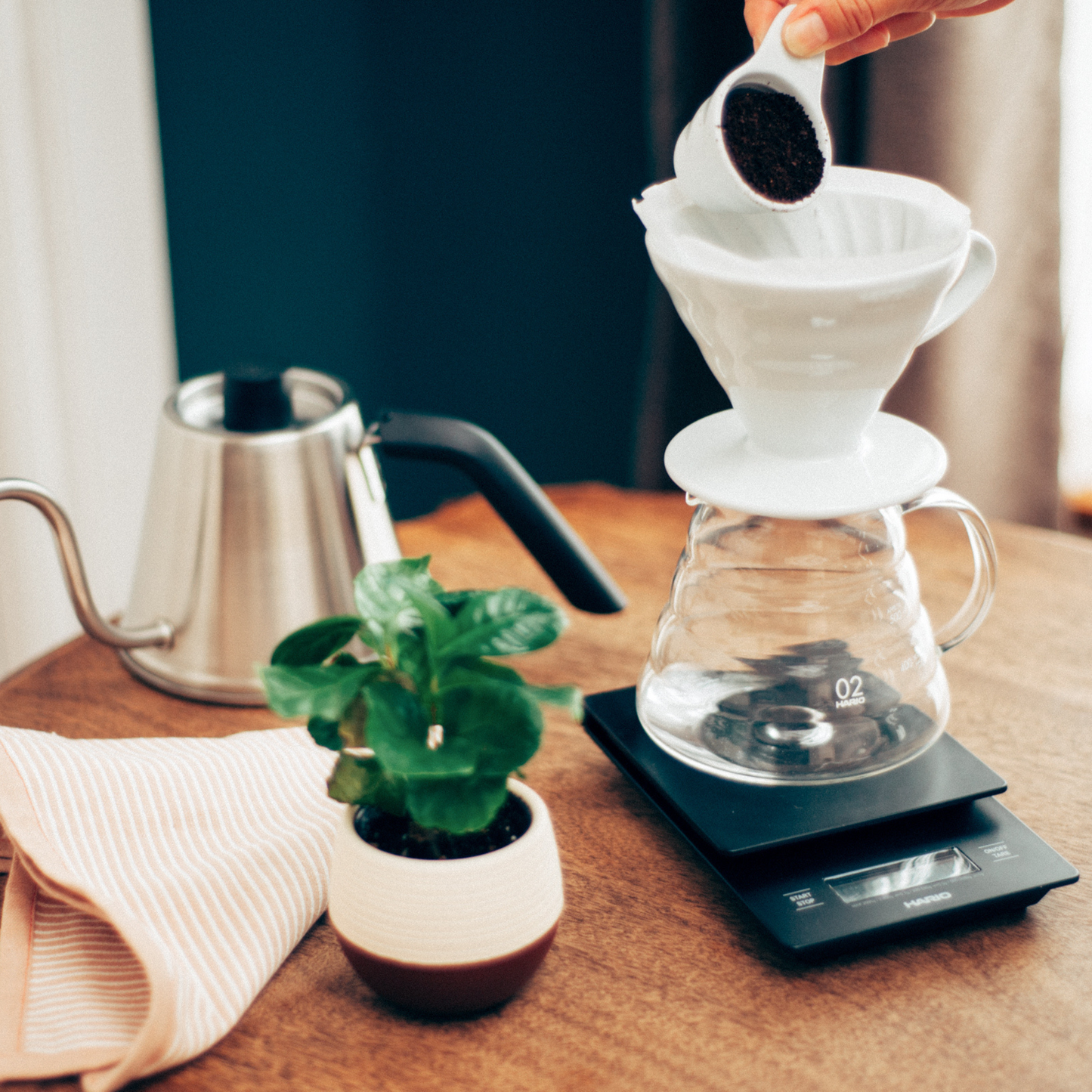 Shown putting powdered coffee to the HARIO V60 ceramic coffee dripper white porcelain with spiral ridges and conical shape for adjustable brewing flow, includes polypropylene measuring spoon.