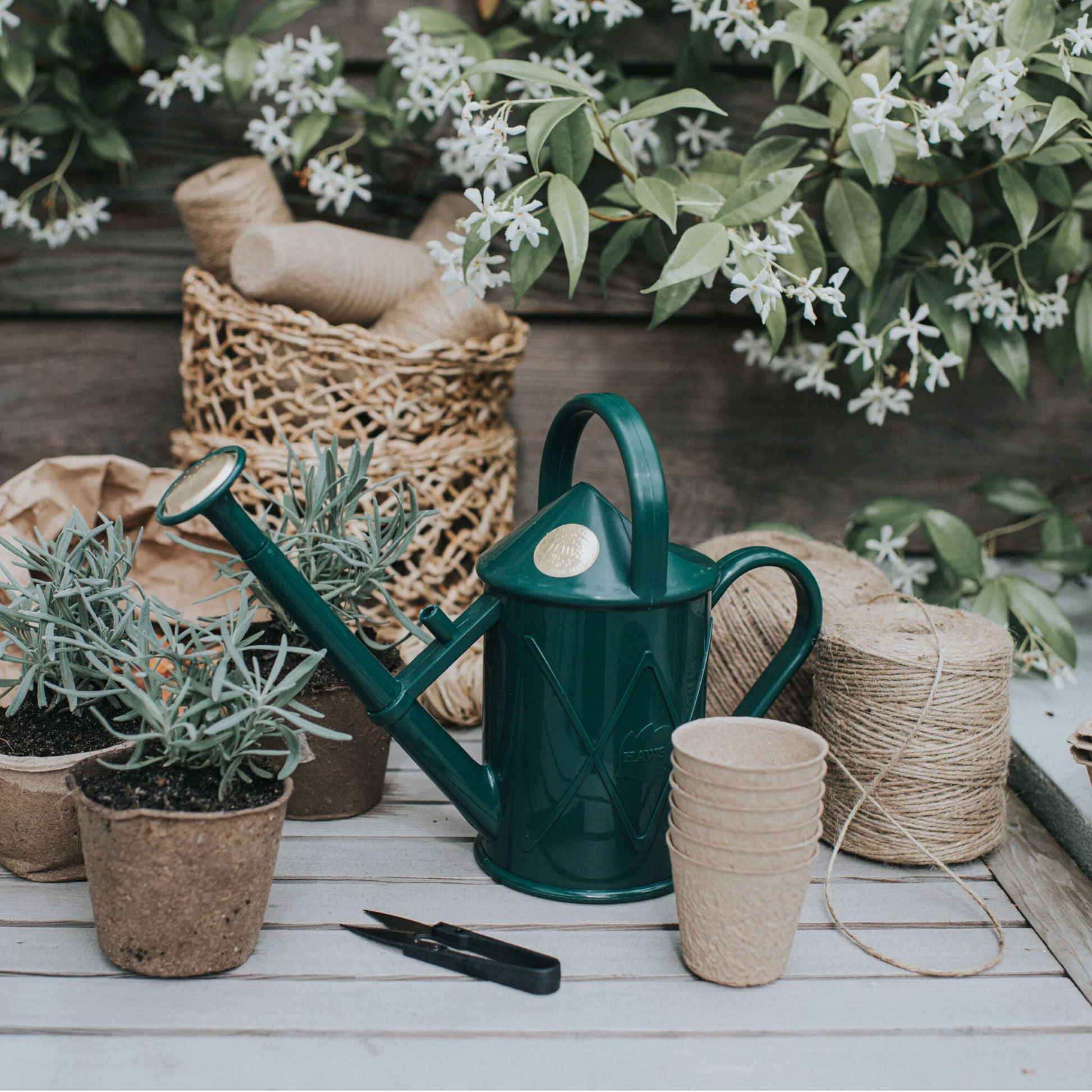 Shown on a wood surface, the Haws Watering Can Bartley Burbler Two Pint Green, an indoor watering can that has the traditional can shape and with removable rose for direct stream and fine spray.