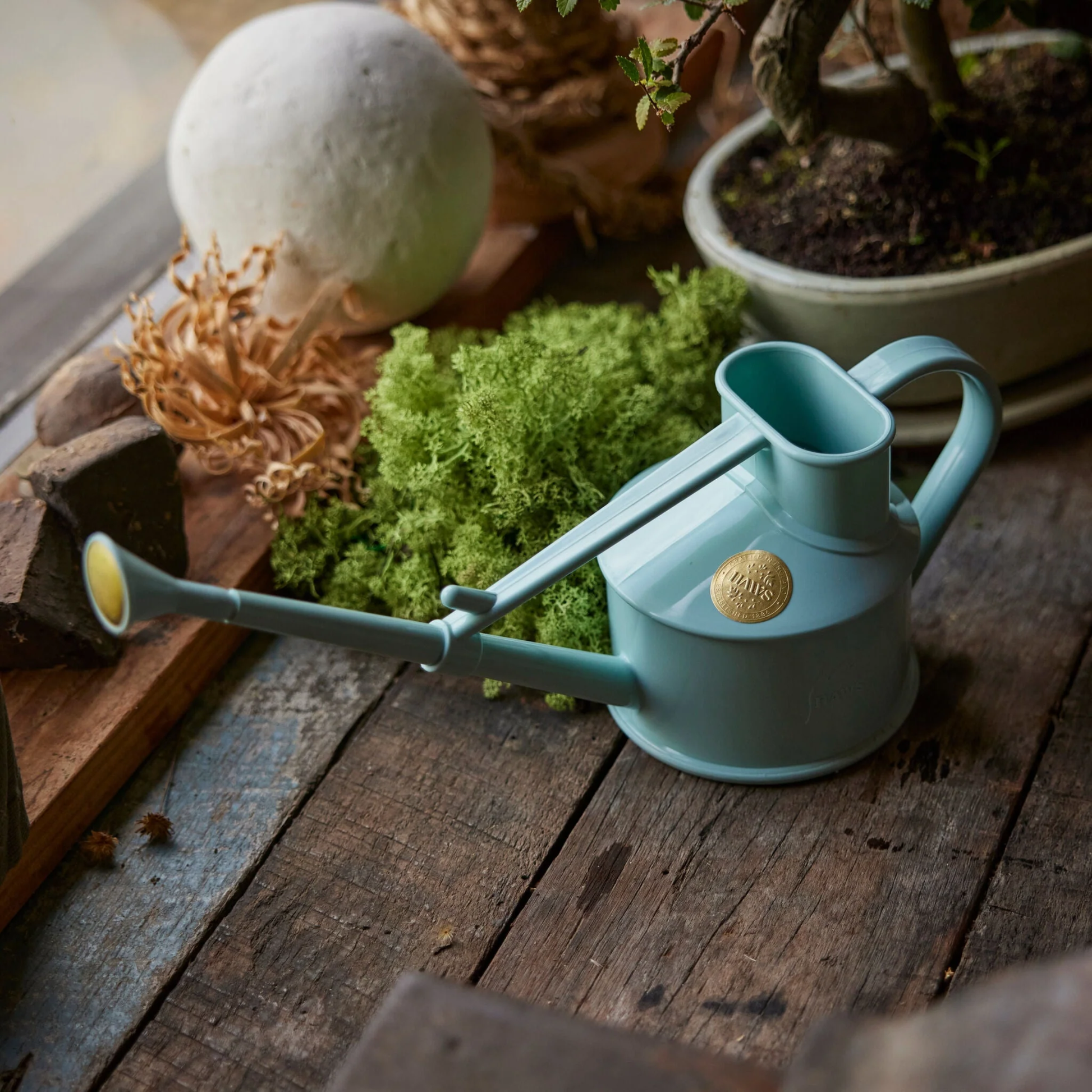 Shown on a wood surface, the Haws Watering Can Langley Sprinkler One Pint Duck Egg Blue, a small plastic indoor watering can with long reach spout and a removable rose for direct and fine spray.