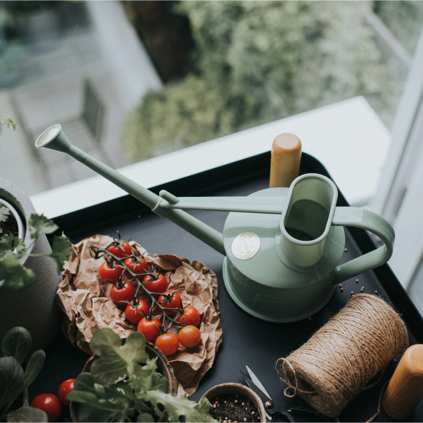 Shown on a tray with the grape tomatoes and other small things, the Haws Watering Can Langley Sprinkler One Pint Sage, a small plastic indoor long reach watering can with a removable rose that gives two modes which is for direct stream and extra fine spray.