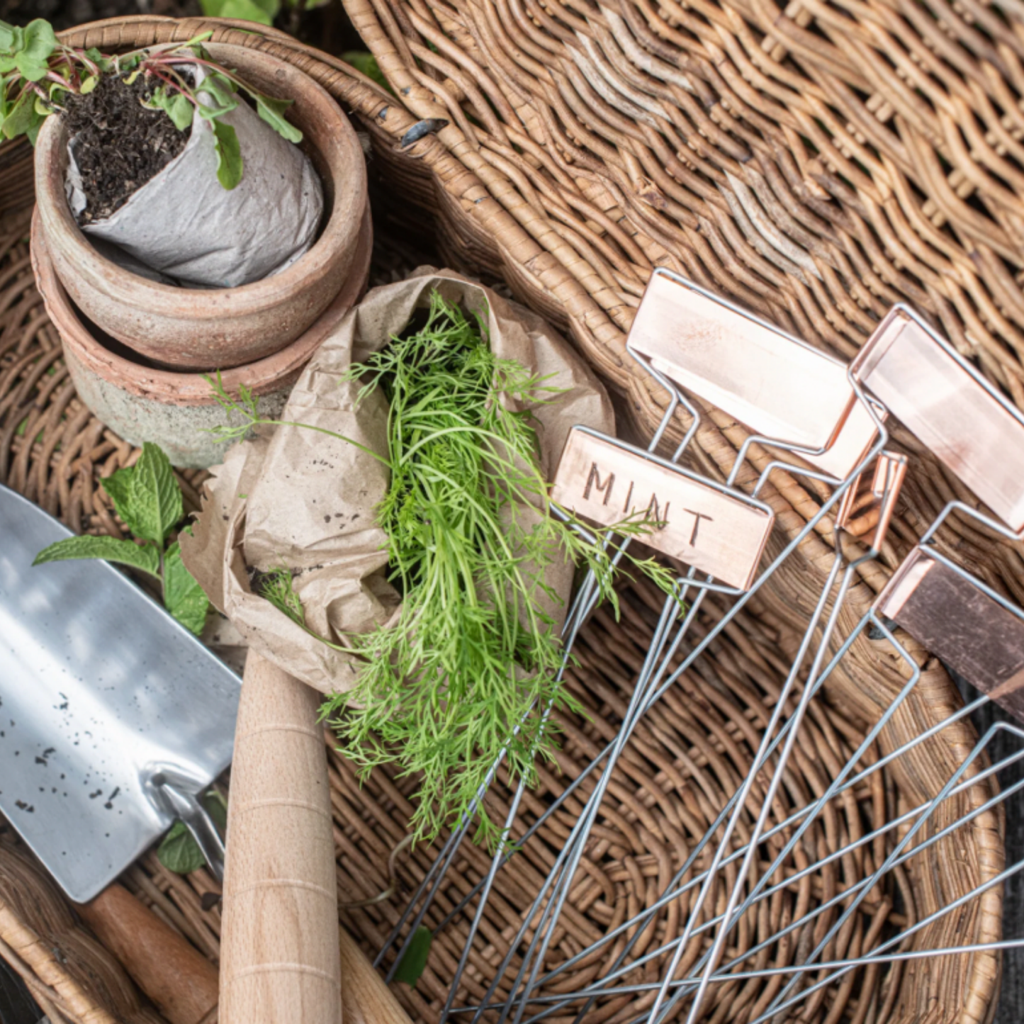Collection of Heaven in Earth Garden Labels Copper (pack of 10) out of packaging in cane basket with gardening tools and herbs