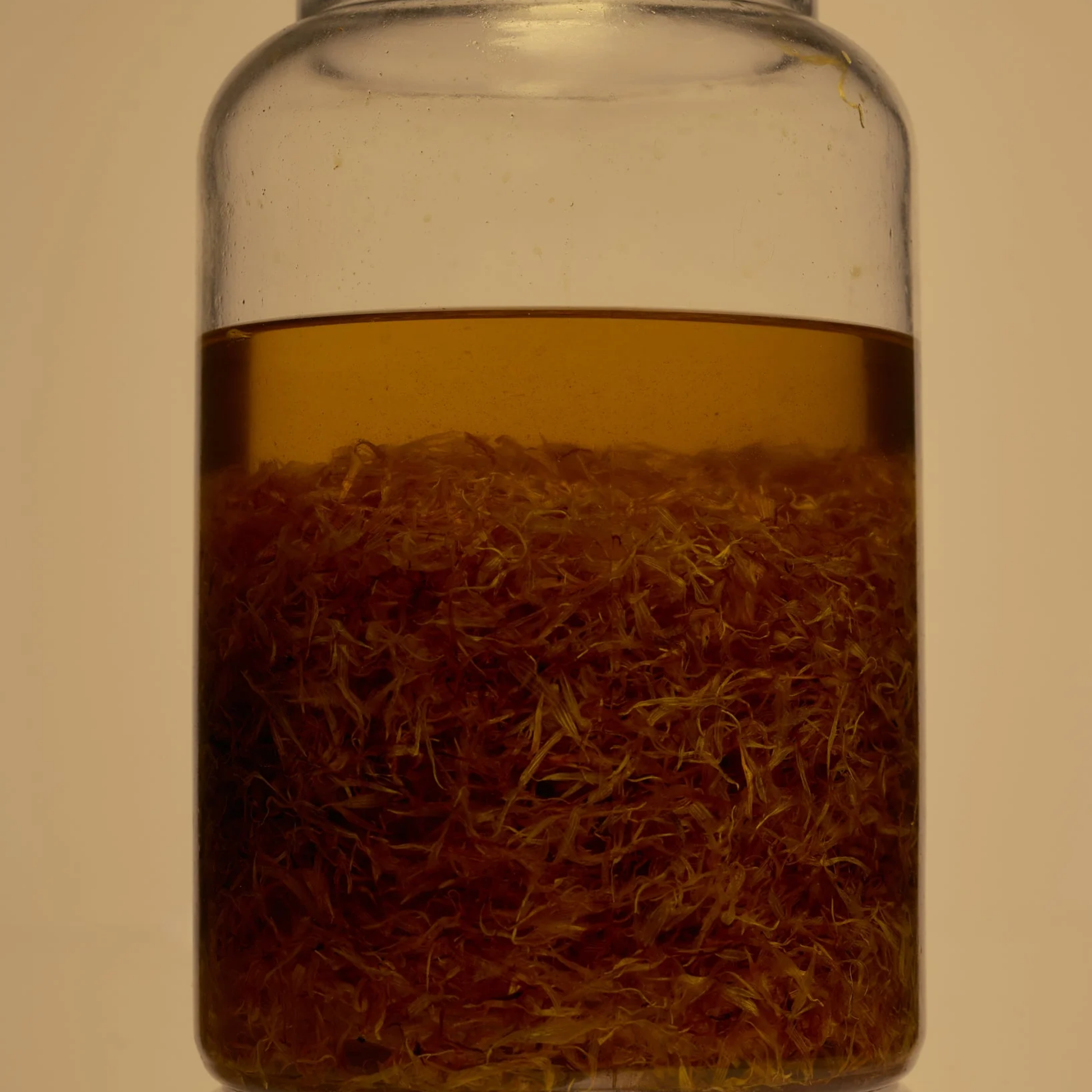 Calendula with Extra virgin olive oil in a container for Herb Remedy Calendula Balm - Gentle skin-soothing and repair balm made from calendula-infused extra virgin olive oil - Enriched with unrefined beeswax and vitamin E for healing, hydration, and protection - Unscented formula ideal for sensitive skin, babies, and eczema-prone areas - Natural herbal balm for cuts, burns, rashes, and dry or irritated skin