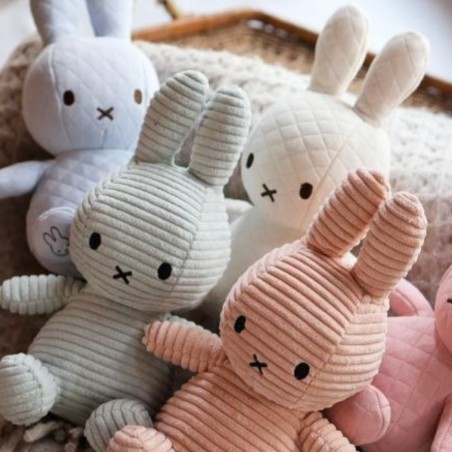 Close up of assorted sitting miffy's 23 cm with sitting miffy soft jad all on blanket