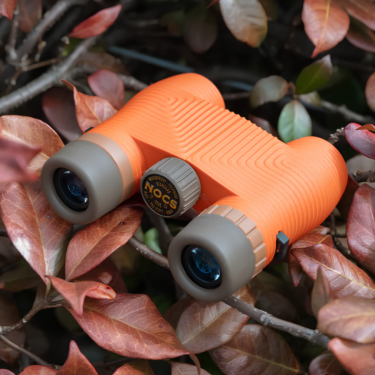 Nocs Provisions Binocular Standard Issue 8X25 Poppy Orange that has multi-coated lenses and premium BaK4 prisms, waterproof, fogproof and compact, shown on tree twigs.