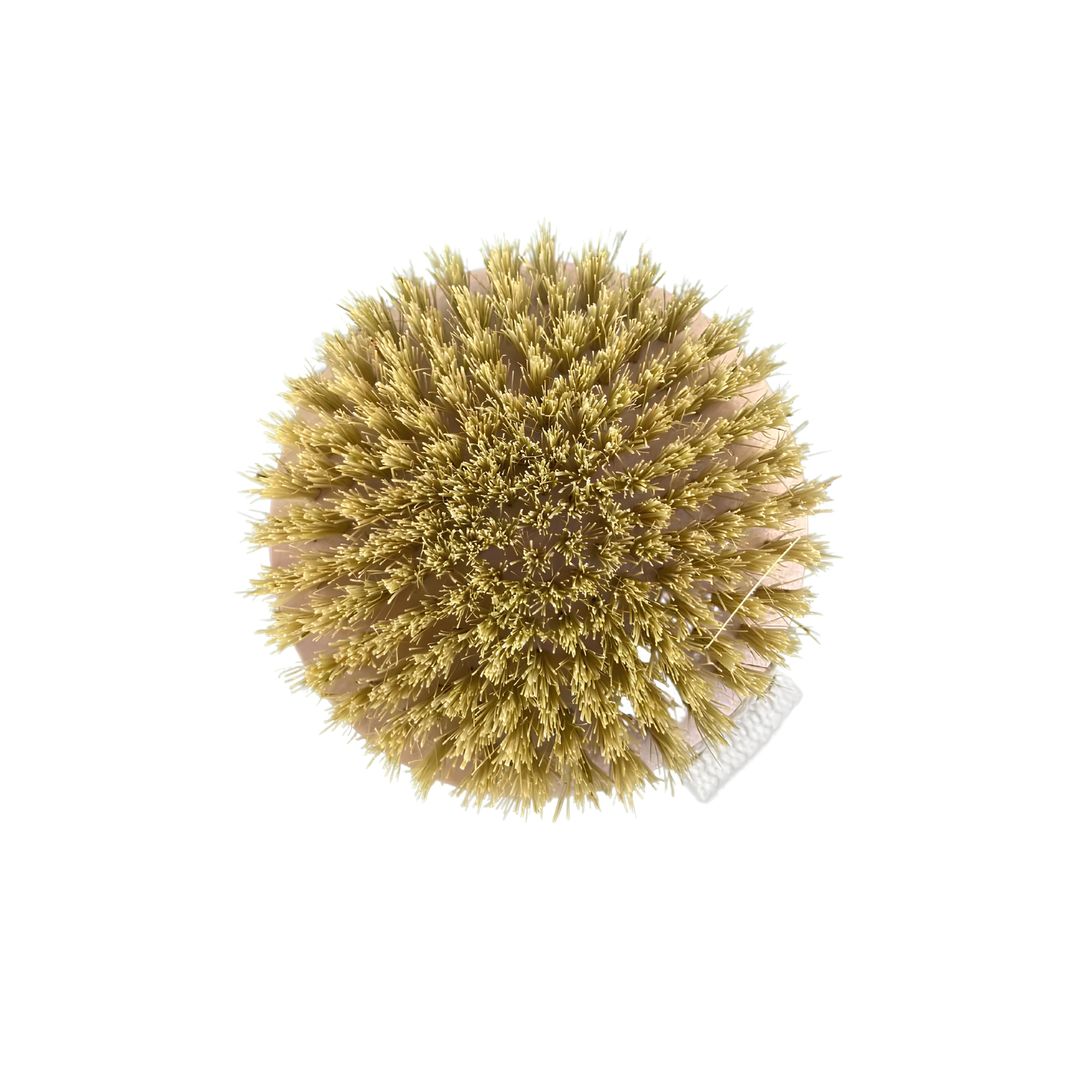 Brush view from the Onsen Saru Sisal Dry Brush white pine base with sisal bristles, natural cotton webbing, engraved text logo and comes with mesh drawstring pouch.