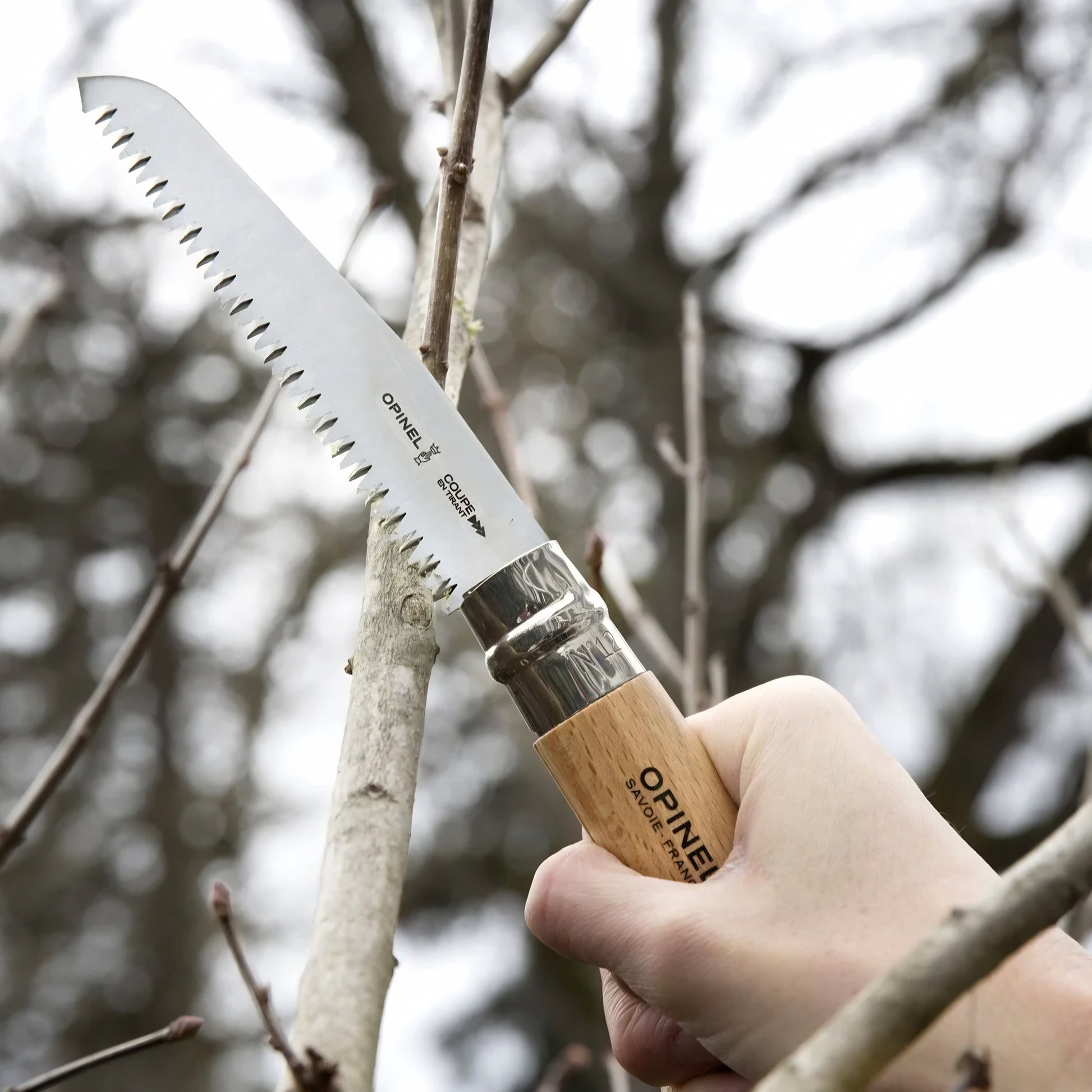 Cutting a twig using the Opinel Traditional Folding Saw No12 Stainless Steel Beech with 12 cm blade.