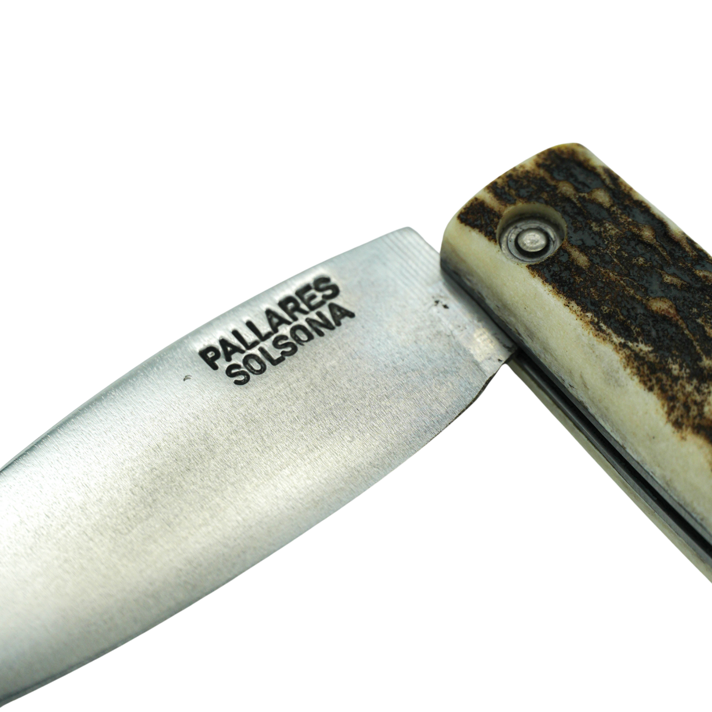 Close up on the Semi folded Pallares Solsona Pocket Knife Busa 8cm Carbon Steel Deer Horn Handle