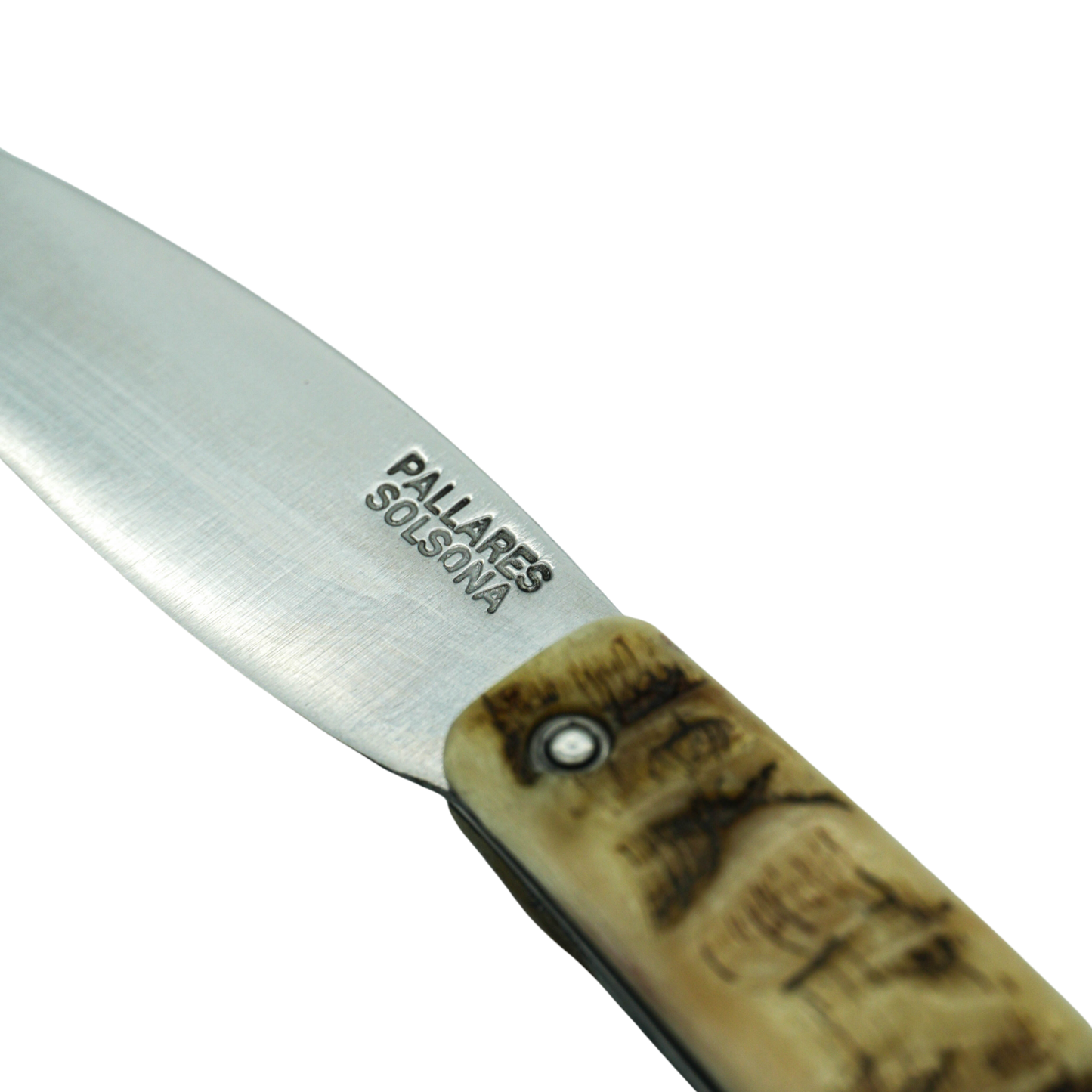 Close up on the logo on the knife blade from Pallares Solsona Pocket Knife Busa 8cm Carbon Steel Ram Horn Handle