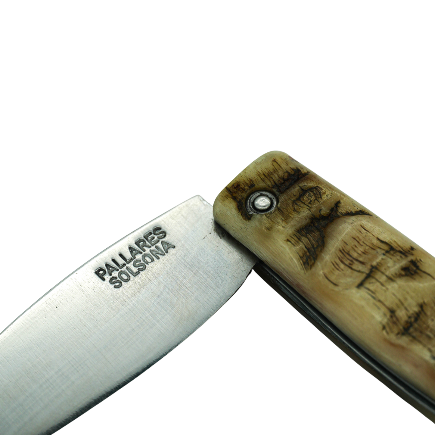 Close up on the Semi folded Pallares Solsona Pocket Knife Busa 8cm Carbon Steel Ram Horn Handle