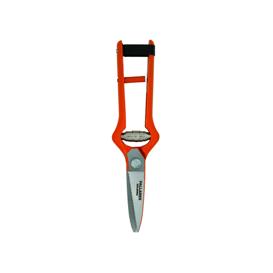 Tip down view of the Pallares Solsona Pruning Shears 19cm Straight Blade Carbon Steel Red Handle