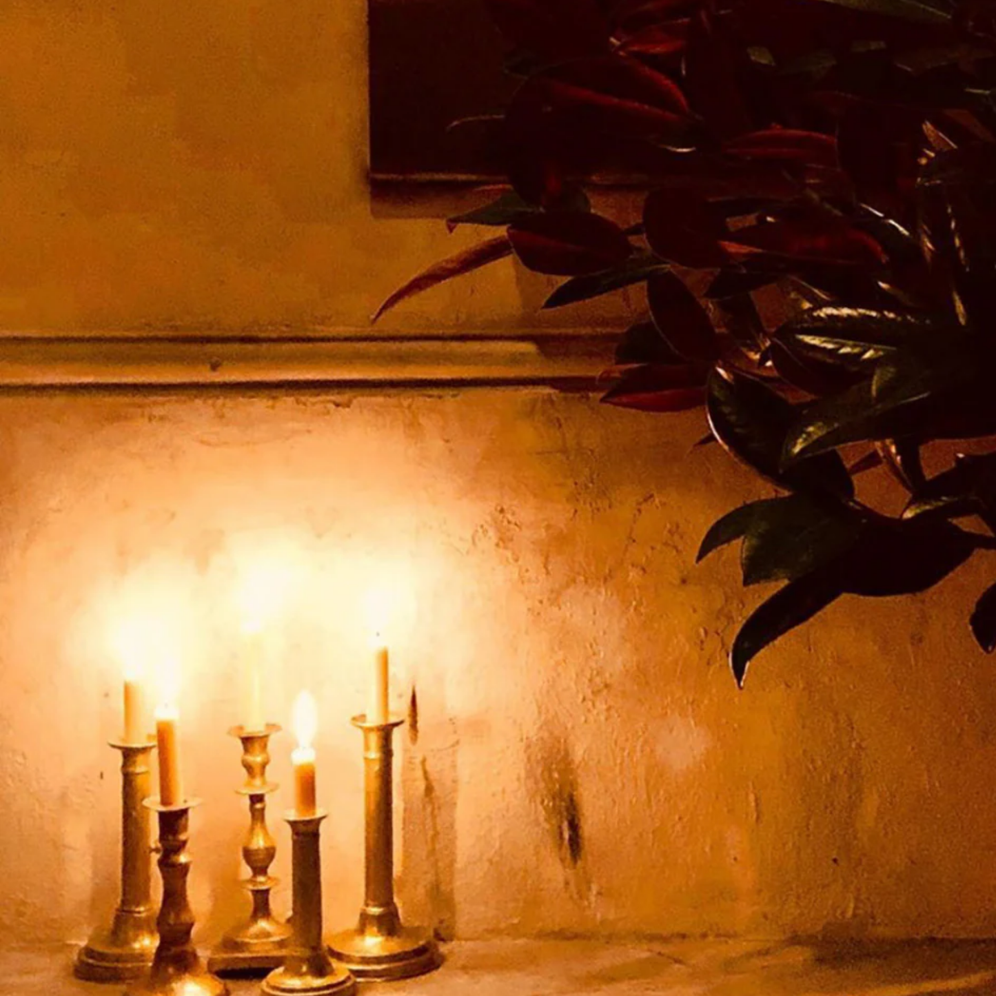 Queen Bee 12cm taper candles in candle holders on table