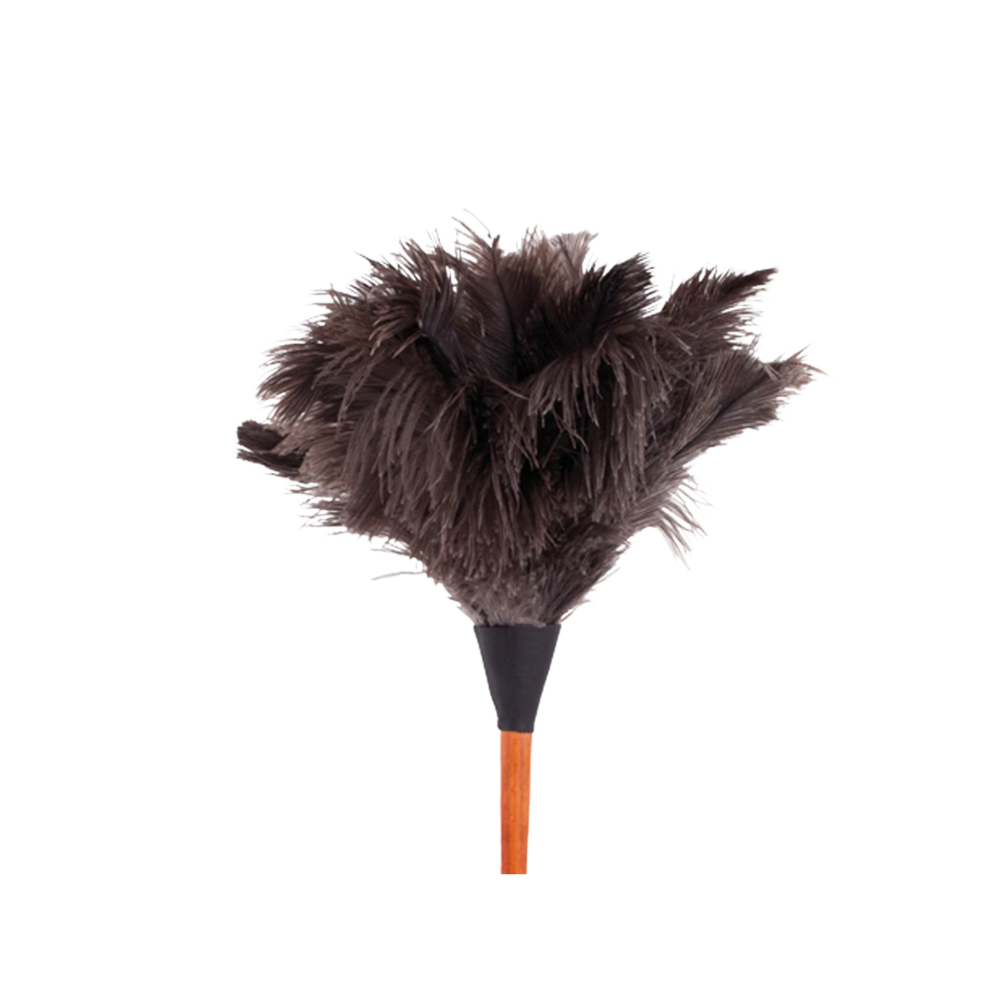 Close up of Redecker Ostrichg feather duster 50cm brown feathers