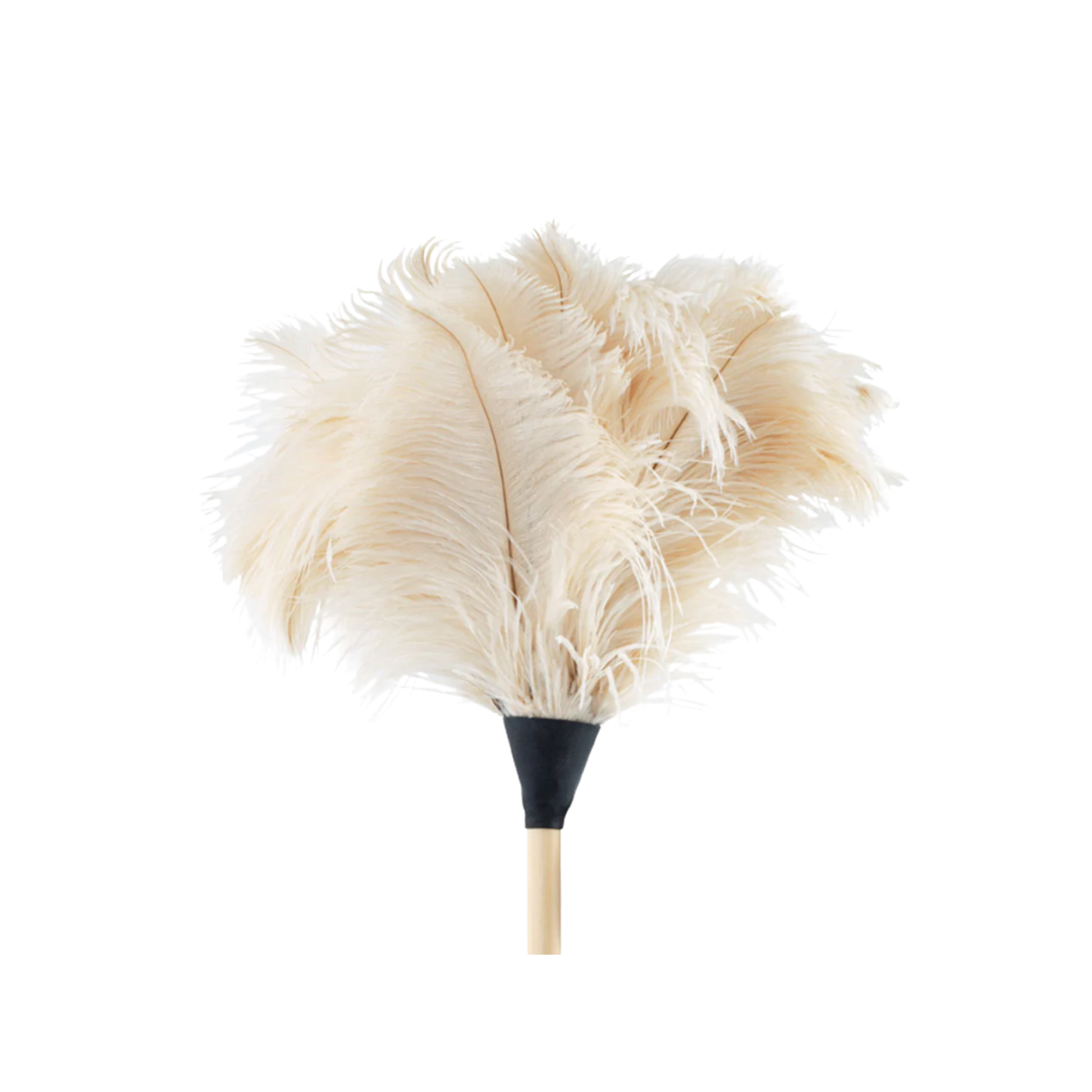 Close up of Redecker Ostrichg feather duster 70cm white feathers