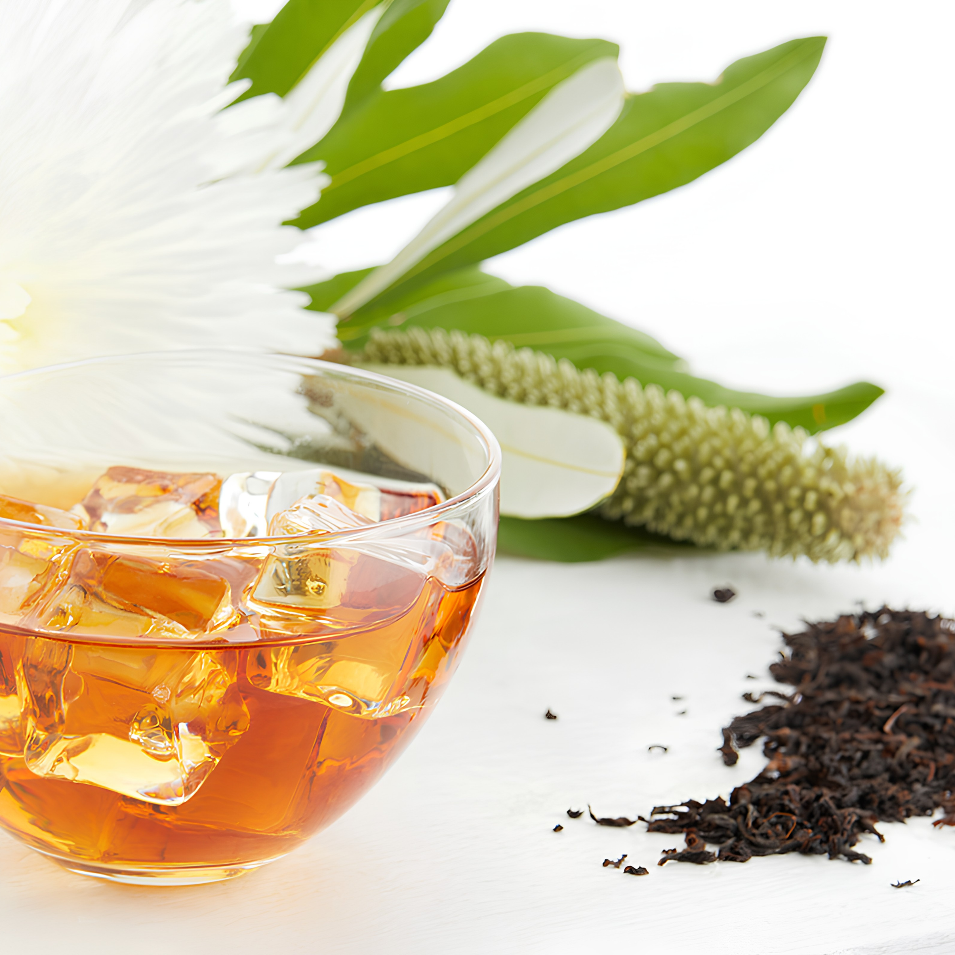 The blend in a bowl with ice and showing a plant and the Ripple Effect Tea Co Loose Leaf Tea 100g Ruby Breakfast, pure Ceylon tea leaves from Nilgiris, fresh and organic.