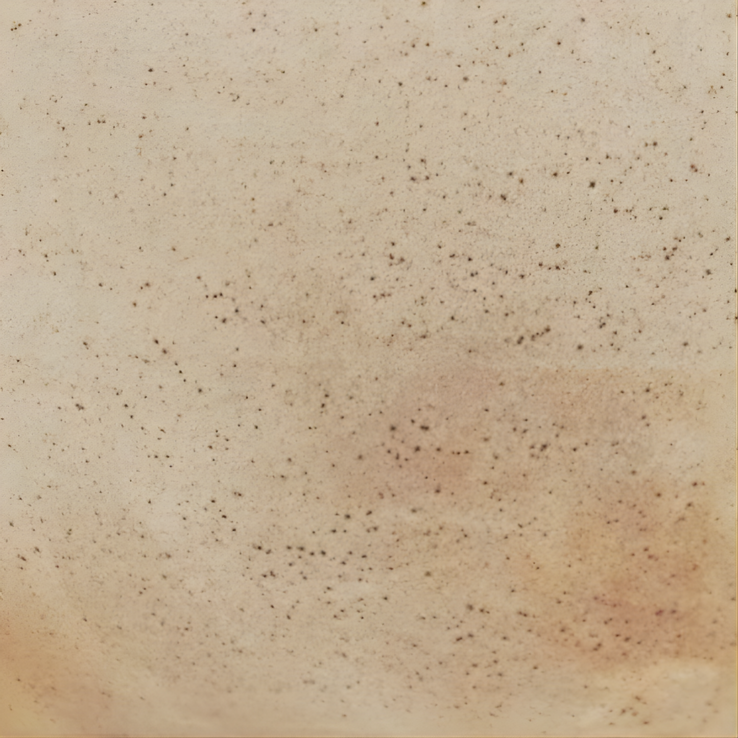 Close up on the brown surface with the glaze with small dark speckles from the Robert Gordon Garden To Table Bowl 26.5cm Beige and white Earthly clay body with light organic glaze, hand crafted made from stoneware, microwave and dishwasher safe, designed in Australia, made in China.