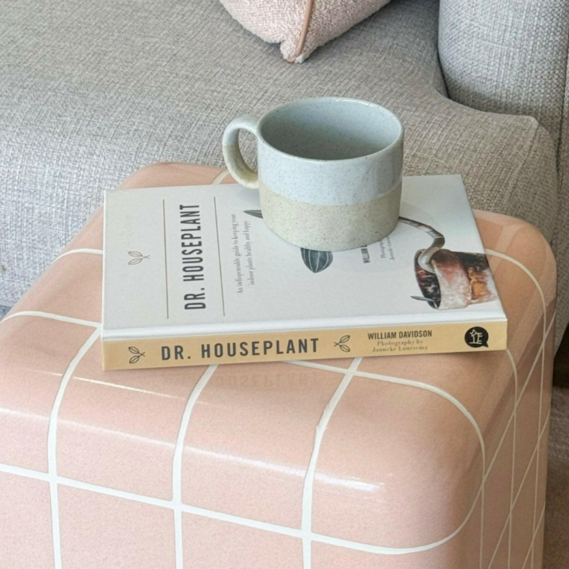 Robert Gordon mineral mugs rock on book on coffee table with book