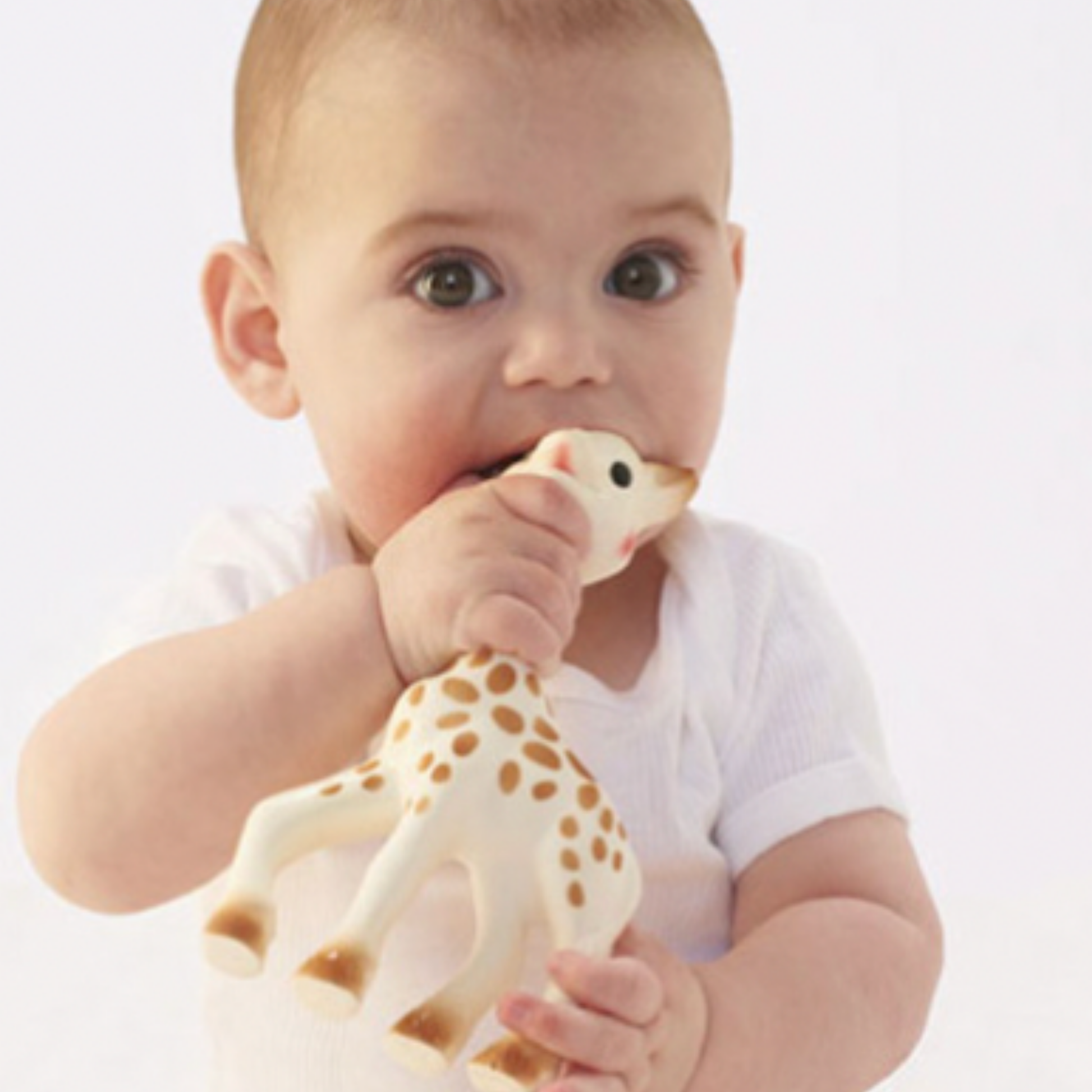 Baby chewing on Sophie La Girafe toy