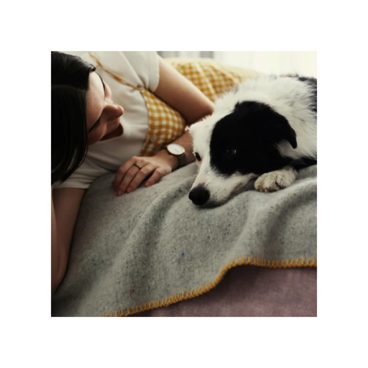 Woman lying down with dog on pet blanket product image